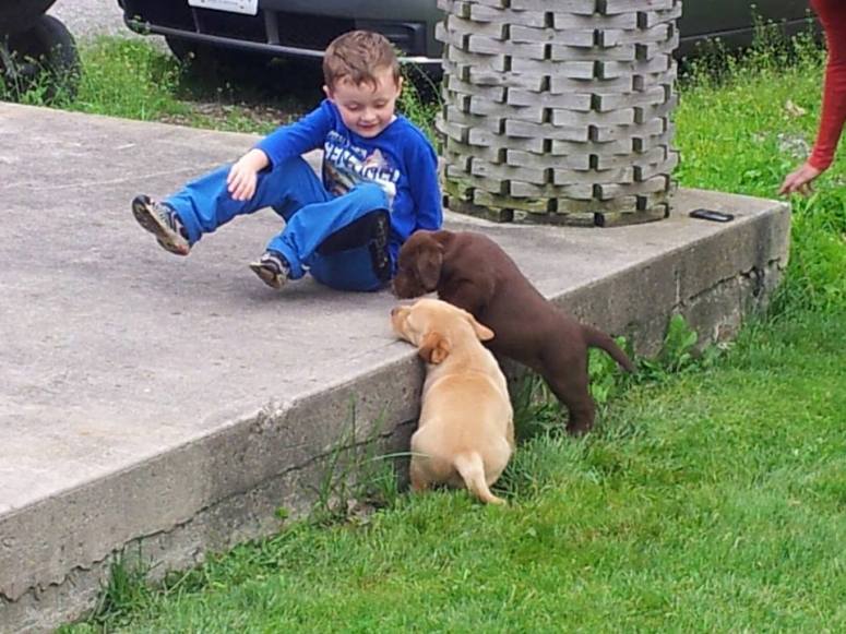 jacob-with-puppies
