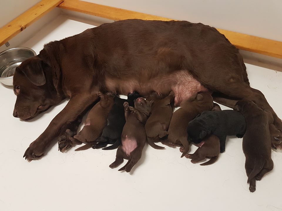 tia-x-walker-feb-2017-1-week-old