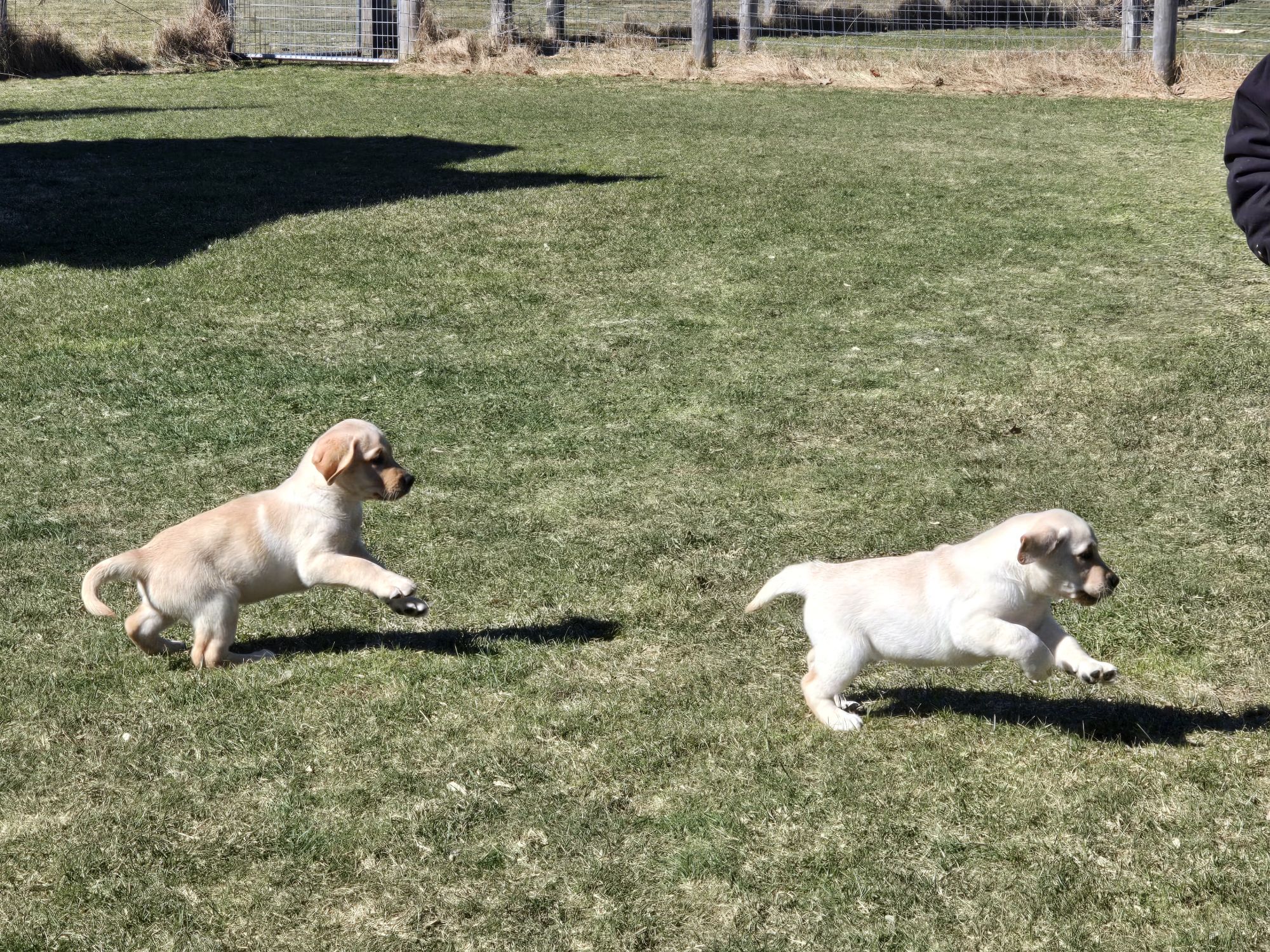 20250317_1521071812459977069729542